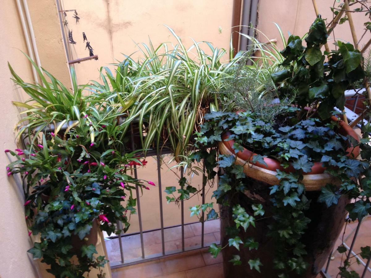 Oasis In The Heart Of Florence Florença Exterior foto